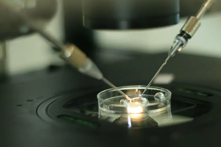 Embryologická a andrologická laboratoř