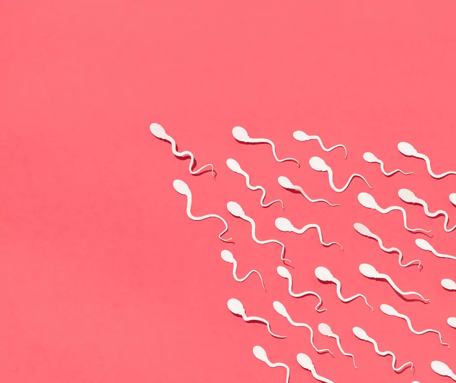 spermiogram